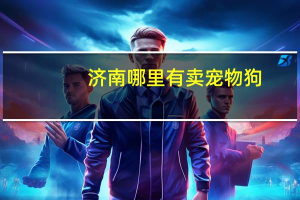 济南哪里有卖宠物狗