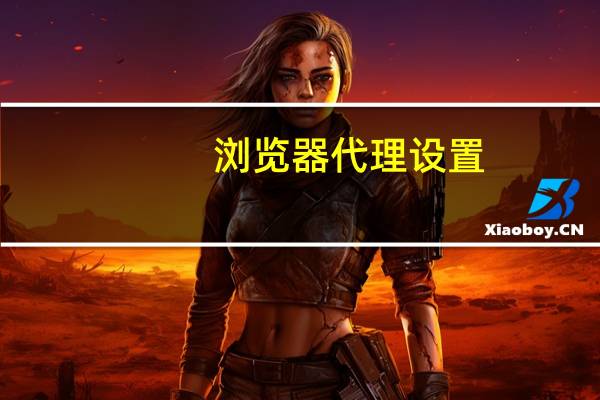 浏览器代理设置（代理设置）