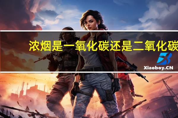 浓烟是一氧化碳还是二氧化碳（浓烟）