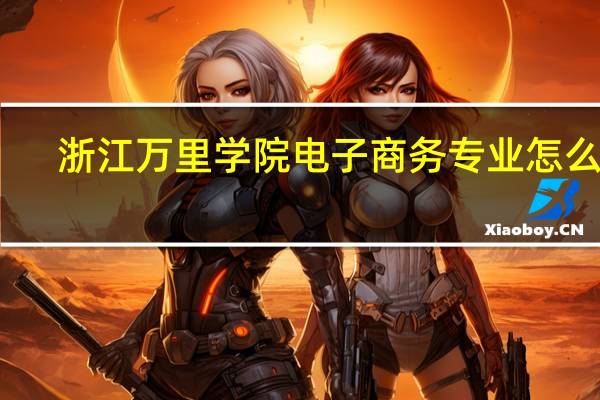 浙江万里学院电子商务专业怎么样