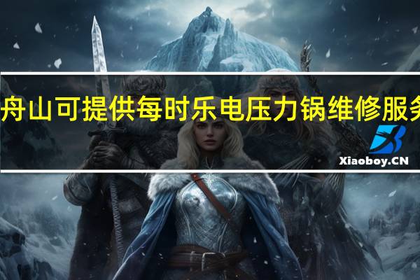 浙江舟山可提供每时乐电压力锅维修服务地址在哪