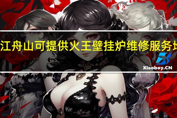 浙江舟山可提供火王壁挂炉维修服务地址在哪