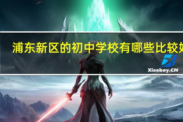 浦东新区的初中学校有哪些比较好的