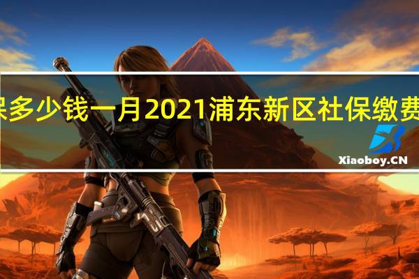 浦东新区社保多少钱一月　2021浦东新区社保缴费基数及比例一览表