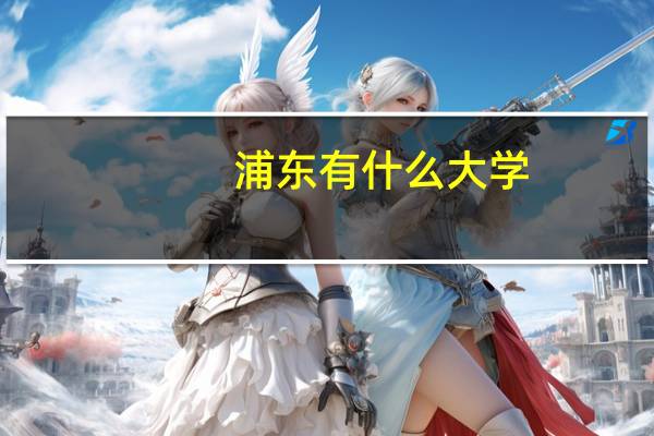 浦东有什么大学