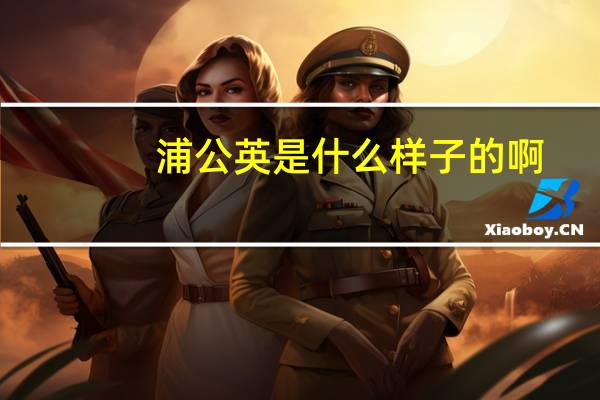 浦公英是什么样子的啊