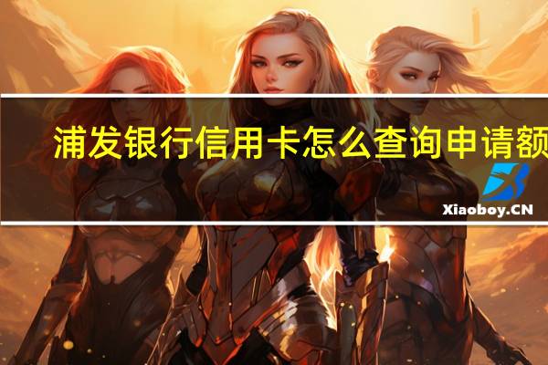 浦发银行信用卡怎么查询申请额度（浦发银行信用卡怎么查询申请进度）
