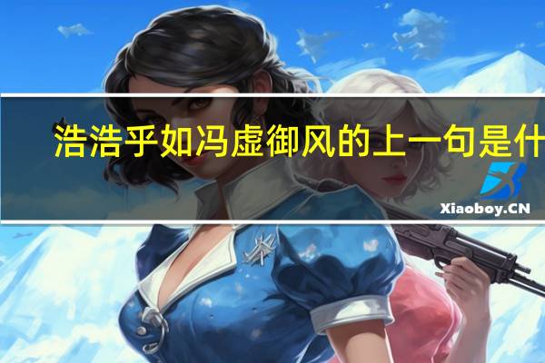 浩浩乎如冯虚御风的上一句是什么