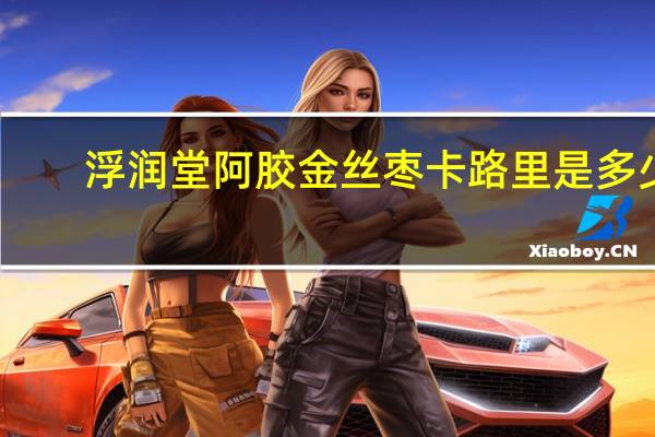 浮润堂 阿胶金丝枣卡路里是多少