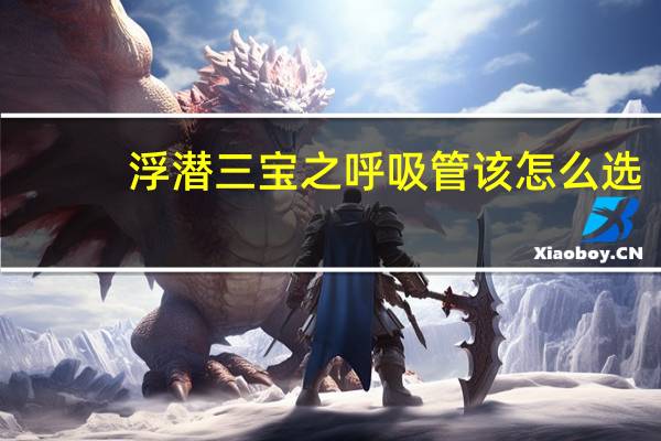 浮潜三宝之 呼吸管该怎么选