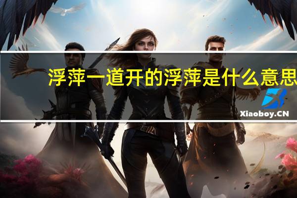 浮萍一道开的浮萍是什么意思