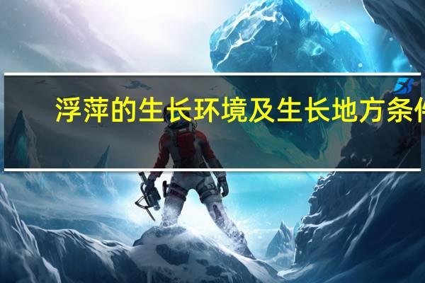浮萍的生长环境及生长地方条件