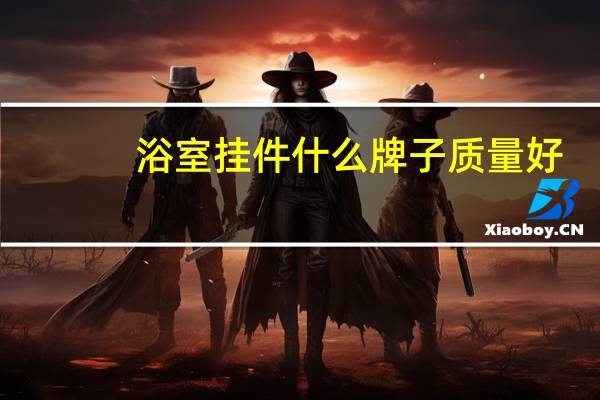 浴室挂件什么牌子质量好