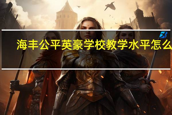 海丰公平英豪学校教学水平怎么样