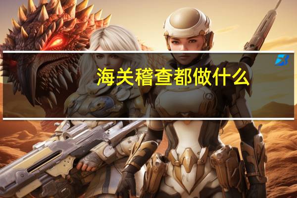 海关稽查都做什么