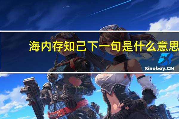 海内存知己下一句是什么意思（海内存知己的下一句）