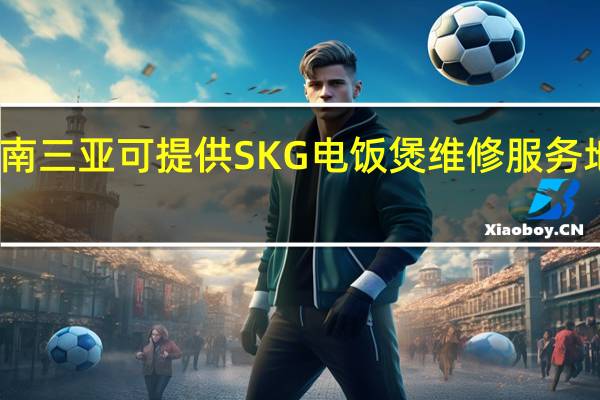 海南三亚可提供SKG电饭煲维修服务地址在哪