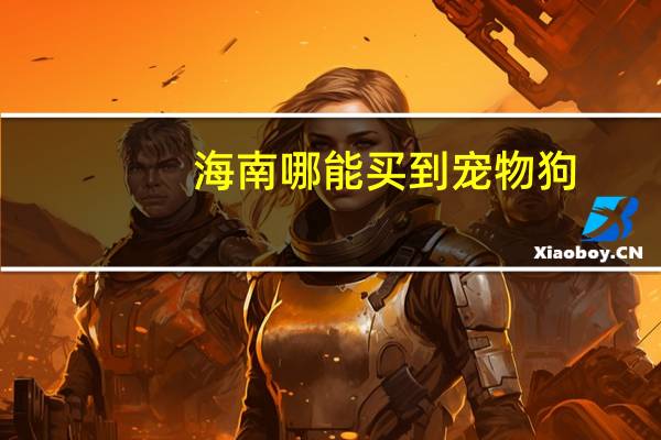 海南哪能买到宠物狗