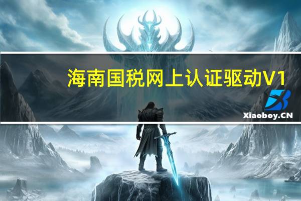 海南国税网上认证驱动 V1.0 官方版（海南国税网上认证驱动 V1.0 官方版功能简介）