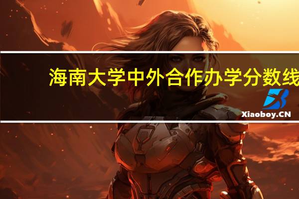 海南大学中外合作办学分数线