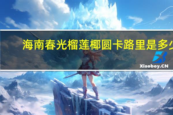 海南春光 榴莲椰圆卡路里是多少