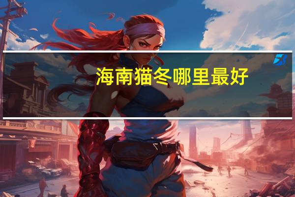 海南猫冬哪里最好