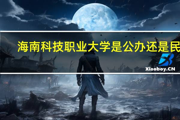 海南科技职业大学是公办还是民办