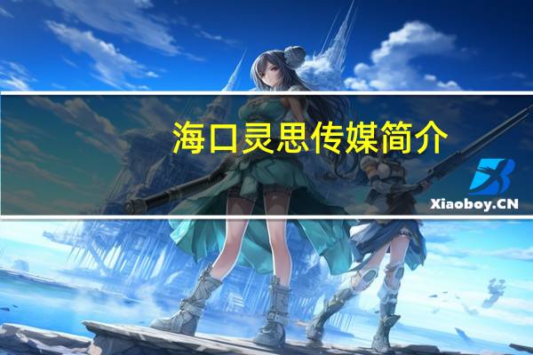 海口灵思传媒简介
