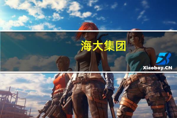 海大集团：终止公司2022年度向特定对象发行A股股票事项