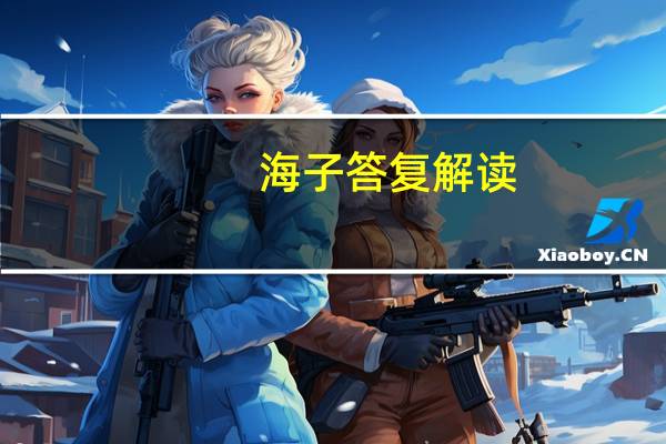 海子答复解读（海子答复）