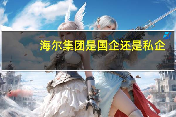 海尔集团是国企还是私企