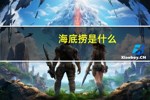 海底捞是什么