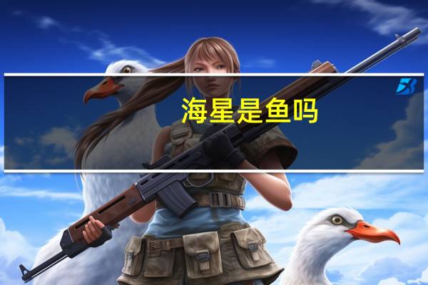 海星是鱼吗