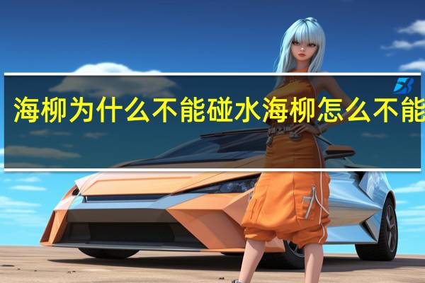 海柳为什么不能碰水 海柳怎么不能碰水