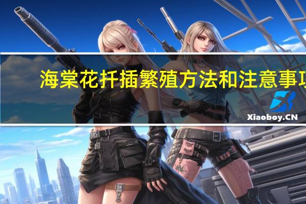 海棠花扦插繁殖方法和注意事项