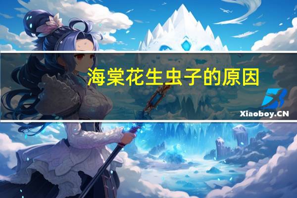 海棠花生虫子的原因