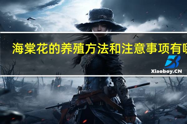 海棠花的养殖方法和注意事项有哪些