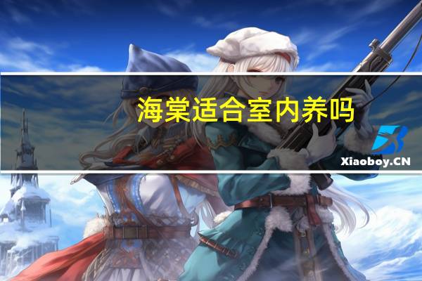 海棠适合室内养吗