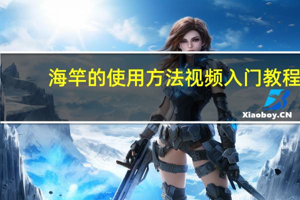 海竿的使用方法视频 入门教程（海竿的使用方法视频）