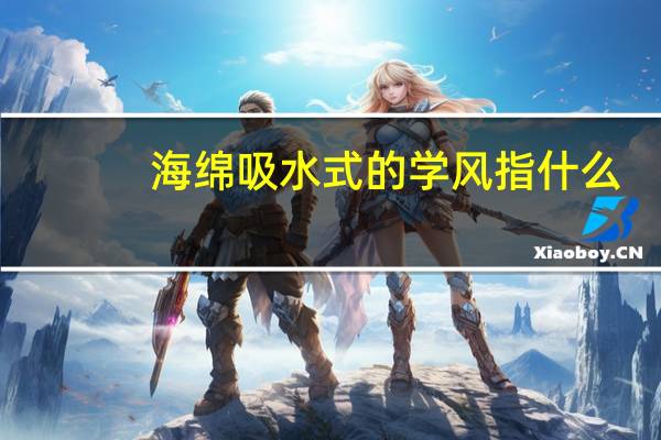 海绵吸水式的学风指什么