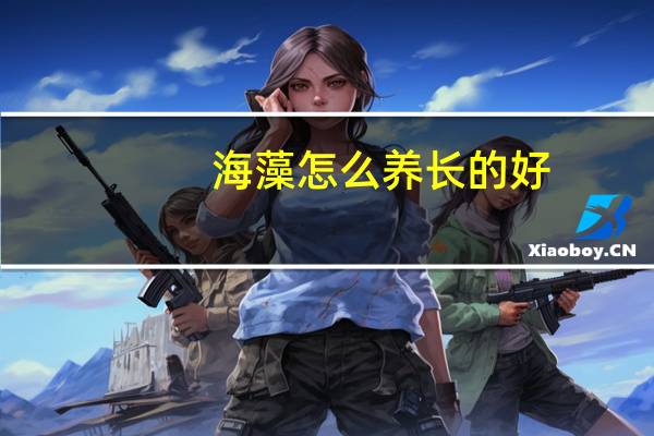 海藻怎么养长的好