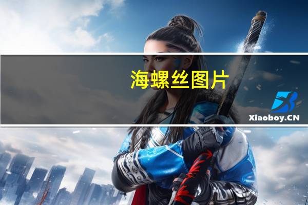 海螺丝图片（海螺丝）