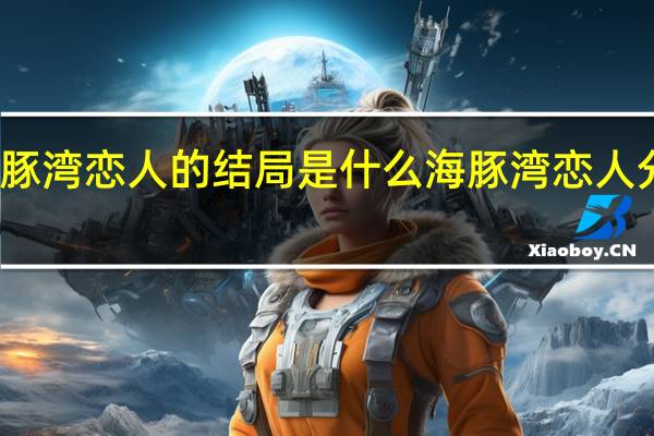 海豚湾恋人的结局是什么 海豚湾恋人分集剧情