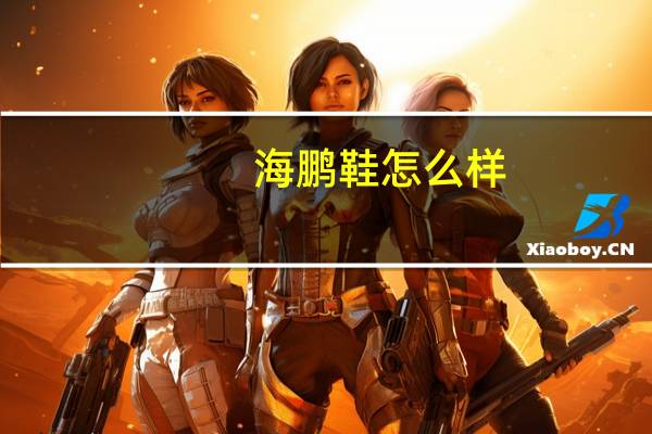 海鹏鞋怎么样