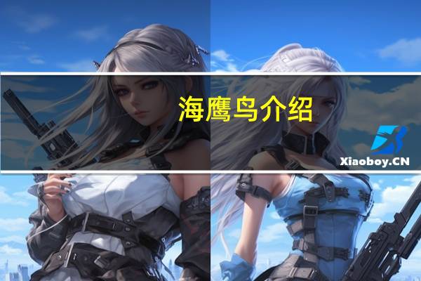 海鹰鸟介绍