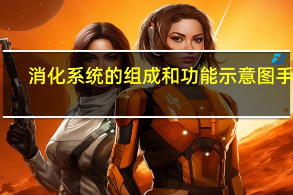 消化系统的组成和功能示意图手绘（消化系统的组成和功能示意图）
