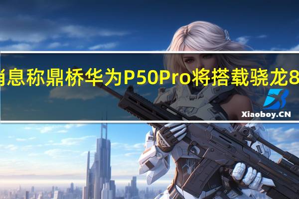 消息称鼎桥华为P50Pro将搭载骁龙888芯片