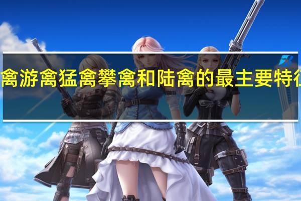 涉禽游禽猛禽攀禽和陆禽的最主要特征是什么（怎样区别游禽 猛禽 涉禽 攀禽 走禽）