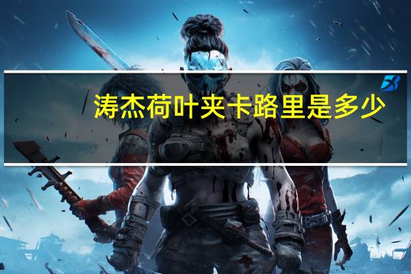 涛杰 荷叶夹卡路里是多少