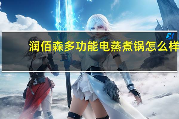润佰森多功能电蒸煮锅怎么样